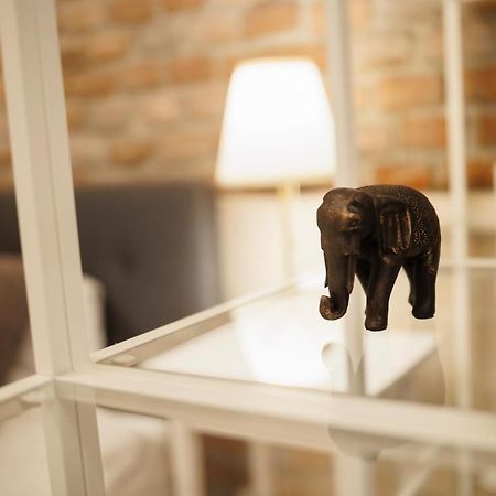 Jolie Flat In The Heart Of The City 티미쇼아라 외부 사진